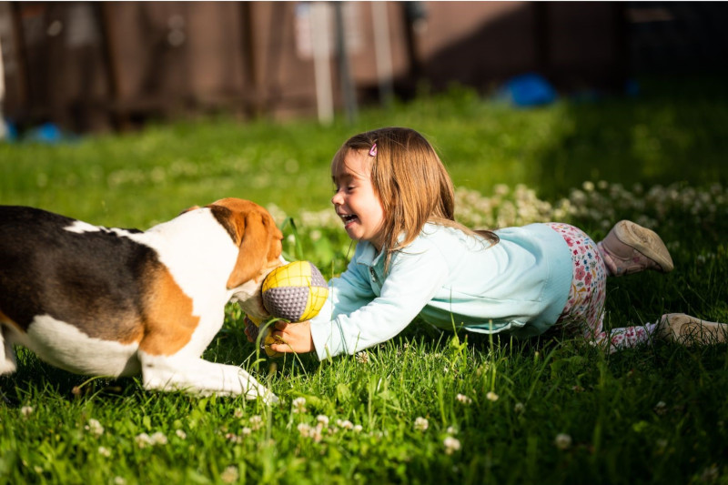 children and pets play on lawn with poison?