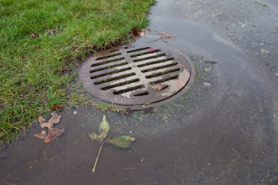 weed killer going down storm drain into water supply?