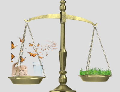 weighing pet health and water supply safety vs lawn appearance